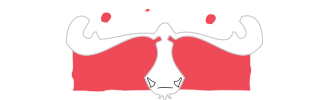 Loose Moose Catering